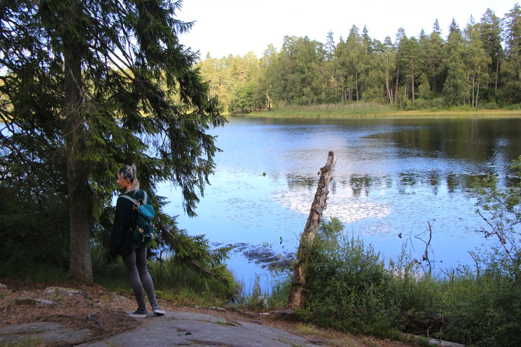 Hiken en wildkamperen bij Vänern lake