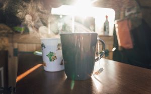 Duurzamer op kitevakantie bio thee en koffie en flextrash prullenbakken
